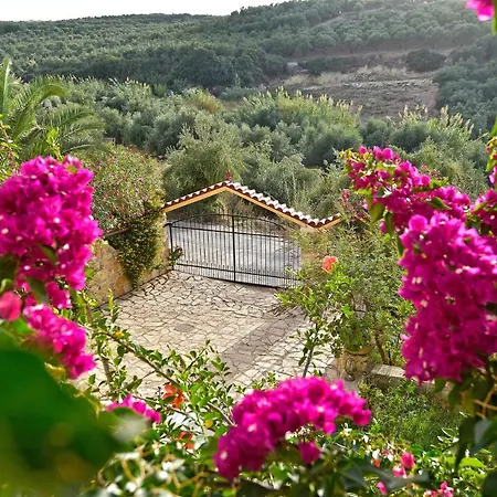 Olive Farm * Agia Marina (Crete)