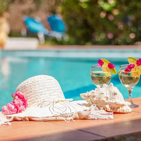 Villa Olive Farm Agia Marina (Crete)