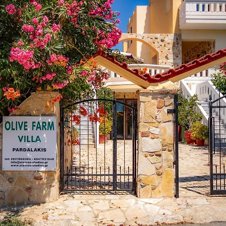 Olive Farm Villa Agia Marina (Crete)